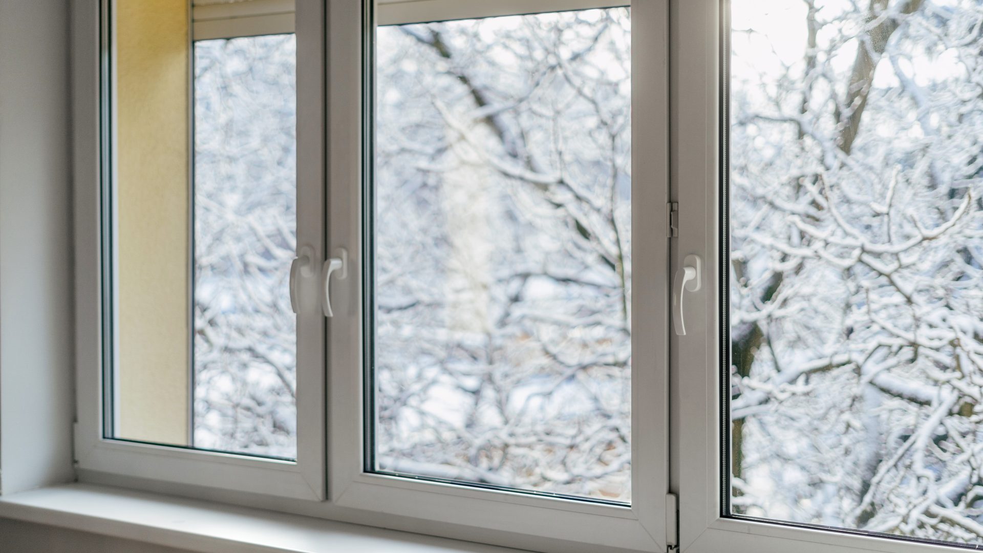 New Windows by GreenFox Windows & Doors in Rocky View County, Alberta‚Äîtrusted local experts in window and door solutions near me.