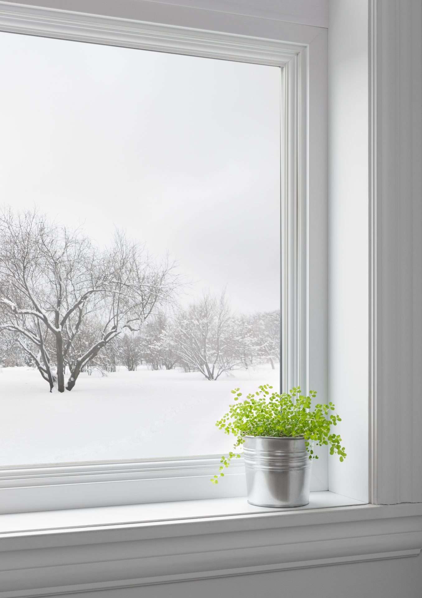 A clear replacement window looks out onto a snowy yard. A cheery plant sits on the windowsill, enjoying the winter sun.