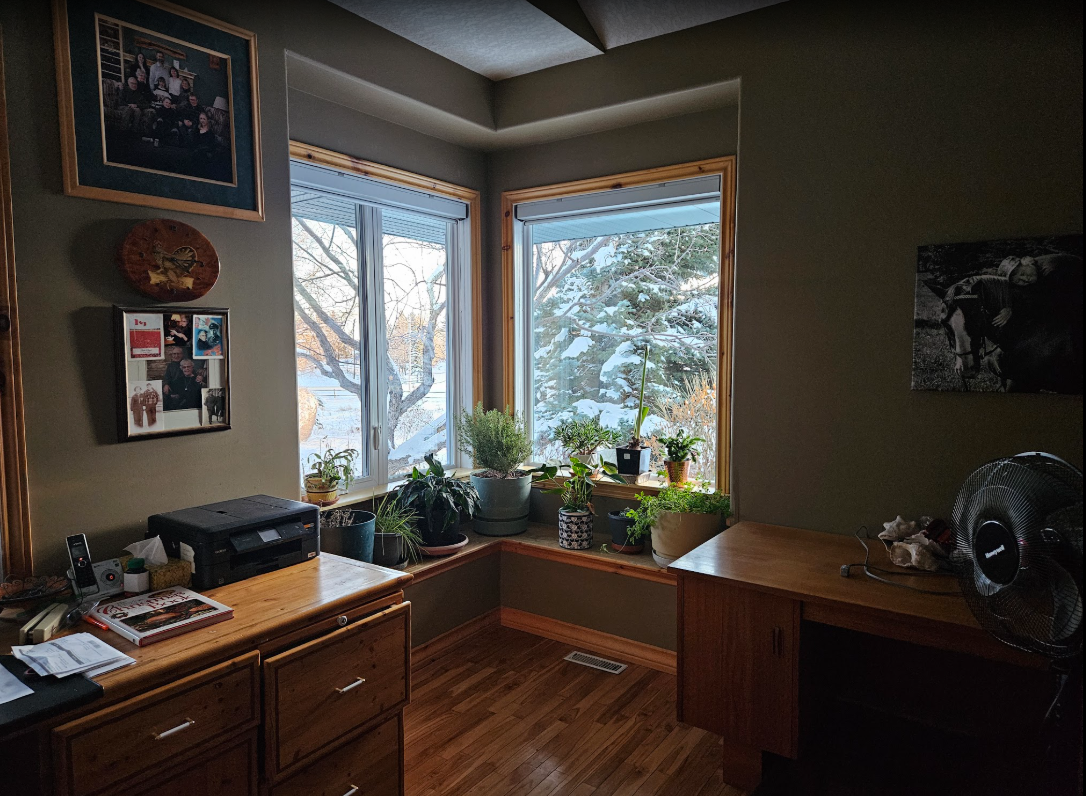 A view of two replacement windows in the corner of a home office space in Meryle’s household
