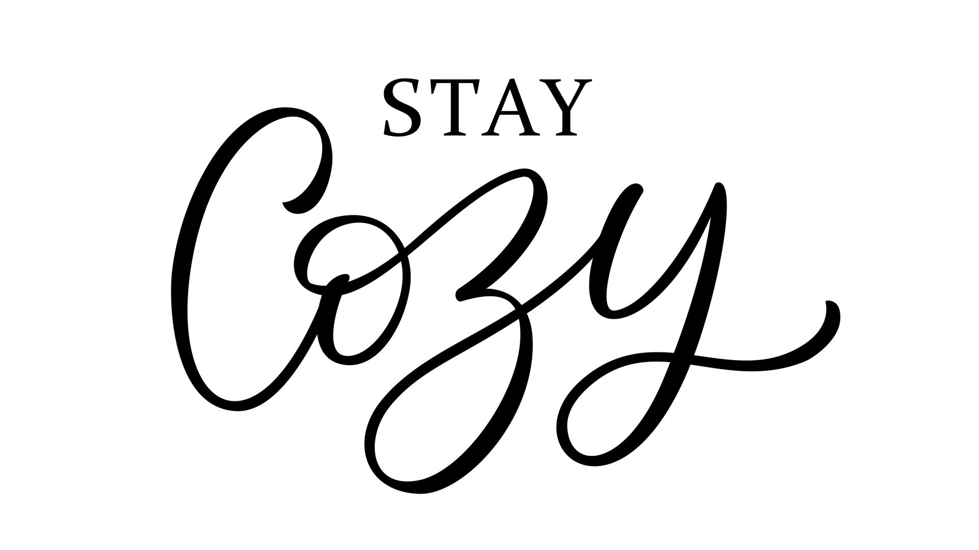 Graphic of the words “Stay Cozy” written in black script and cursive letters against a white background