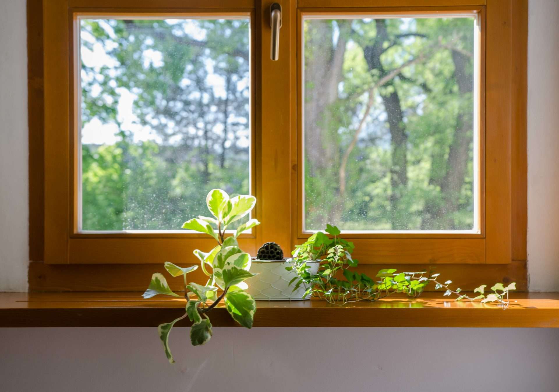 Remarkable replacement windows Edmonton, Alberta service by GreenFox Windows & Doors