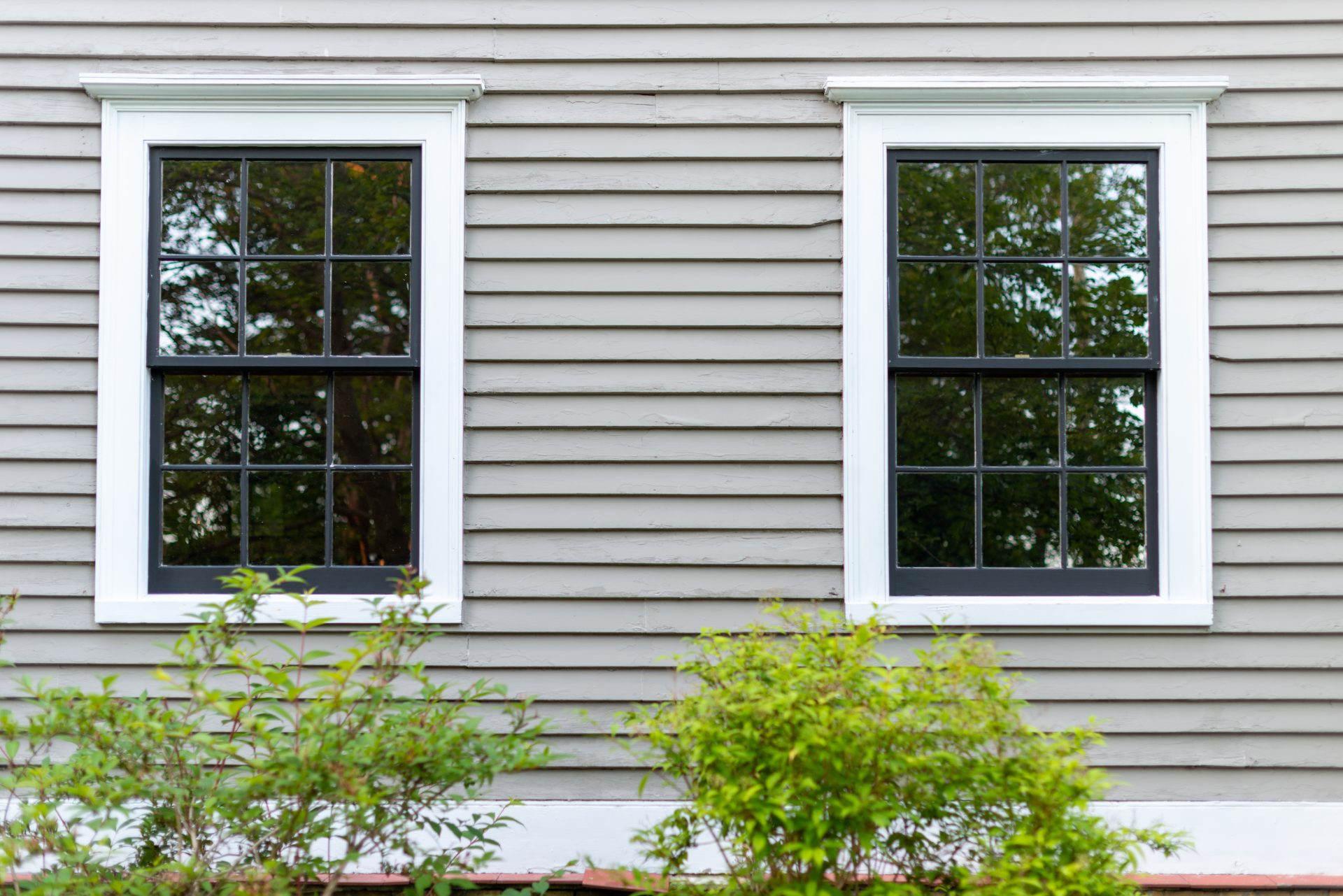 Double-hung windows on a gray house