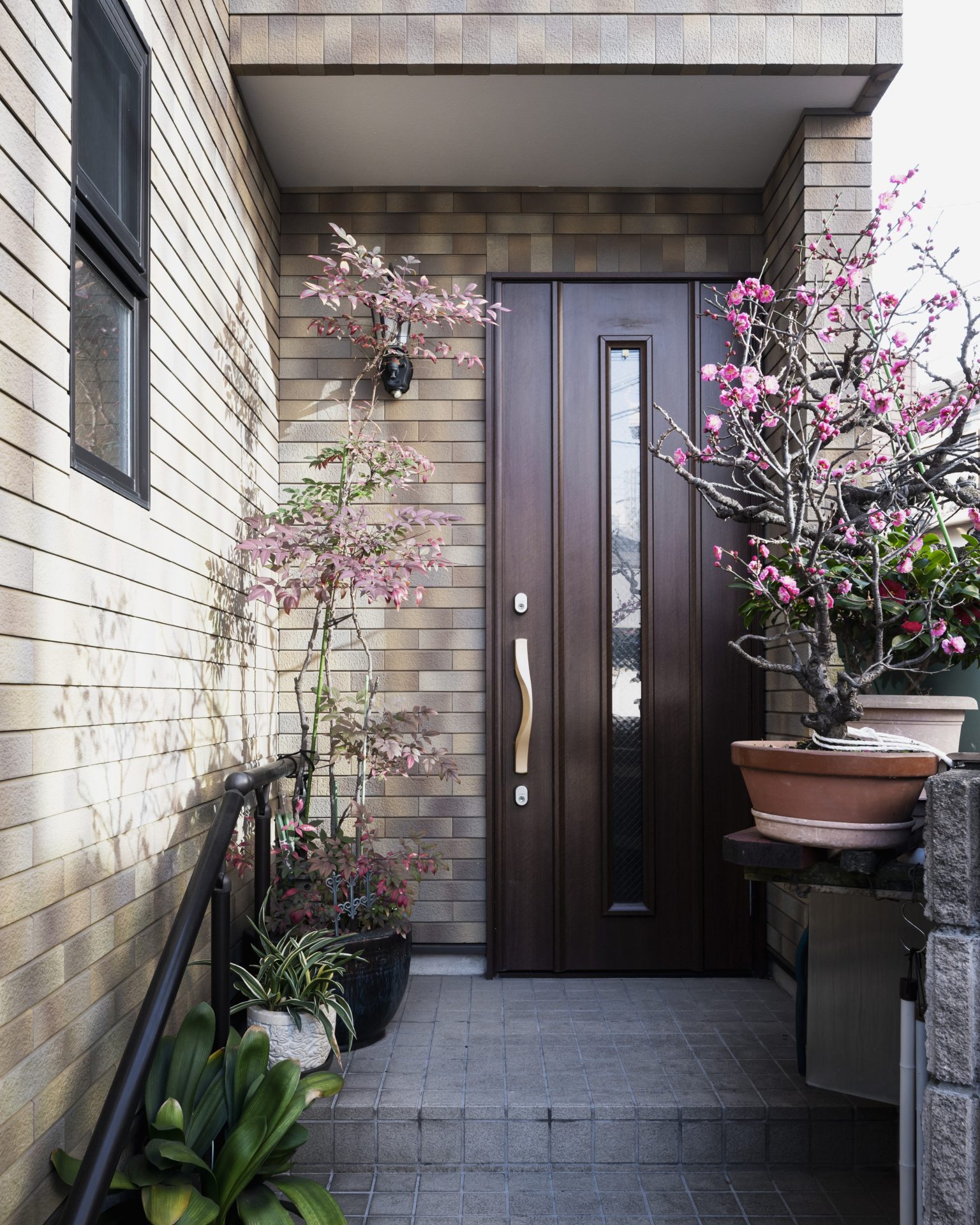 Sleek dark wood entry door surrounded by cherry blossom trees