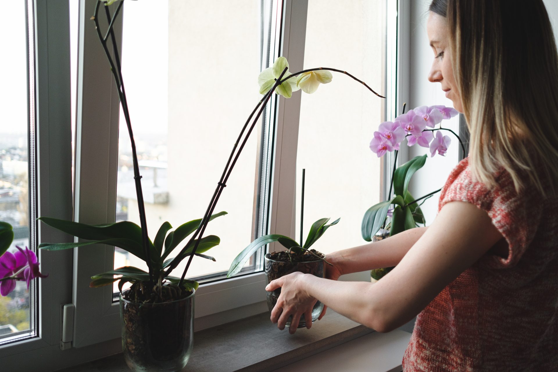 best window company near me in parkland county | GreenFox Windows & Doors