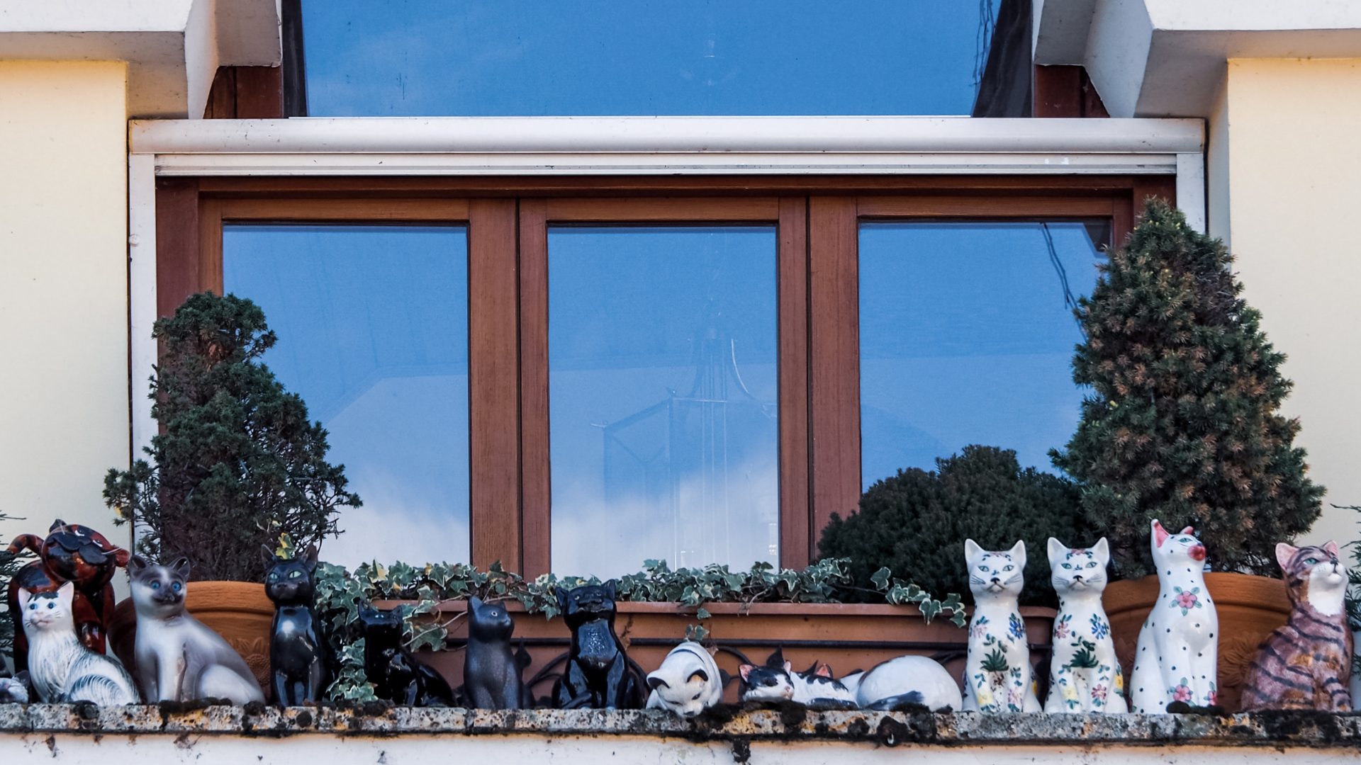 Brown windows on a tan house with cat models on the window sill