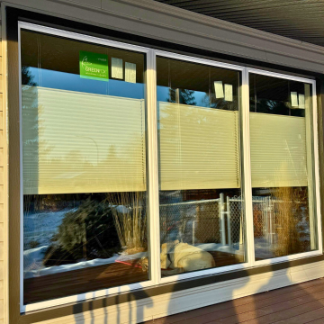 A New GreenFox Window in Edmonton